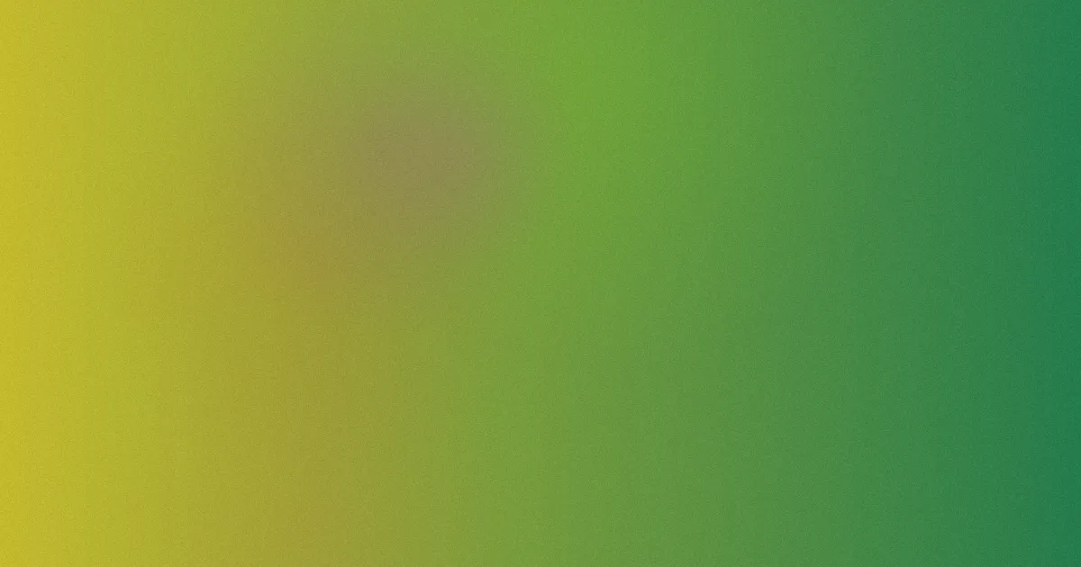 免费av小说测评避坑流程